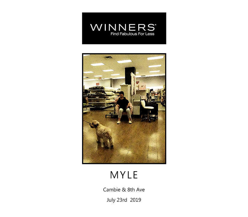 myle at winners